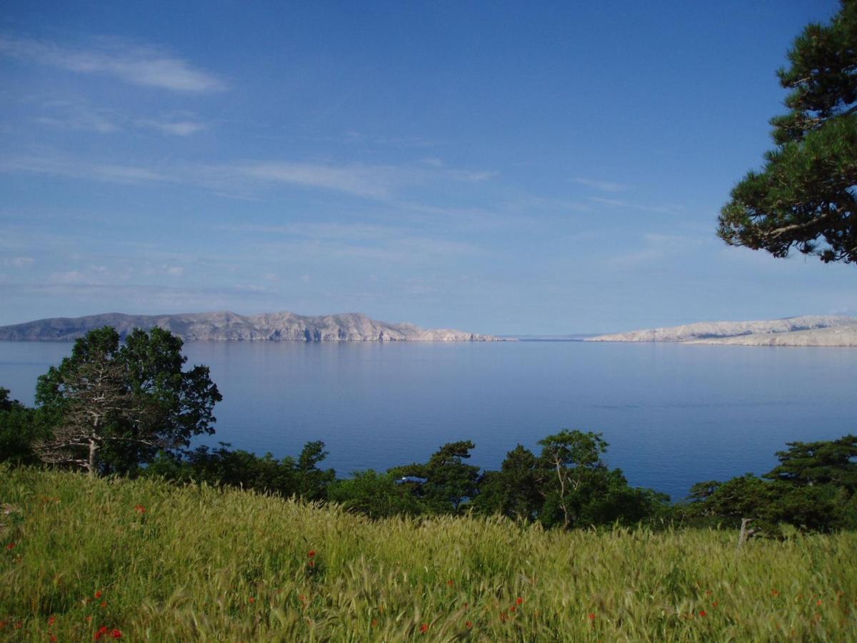 Apartmán Dalibor Senj  Exteriér fotografie