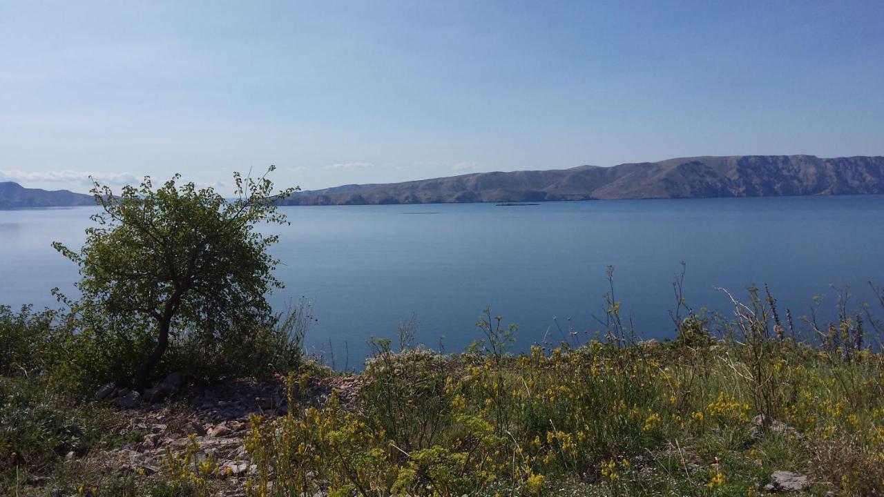 Apartmán Dalibor Senj  Exteriér fotografie