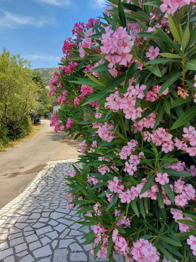 Apartmán Dalibor Senj  Exteriér fotografie