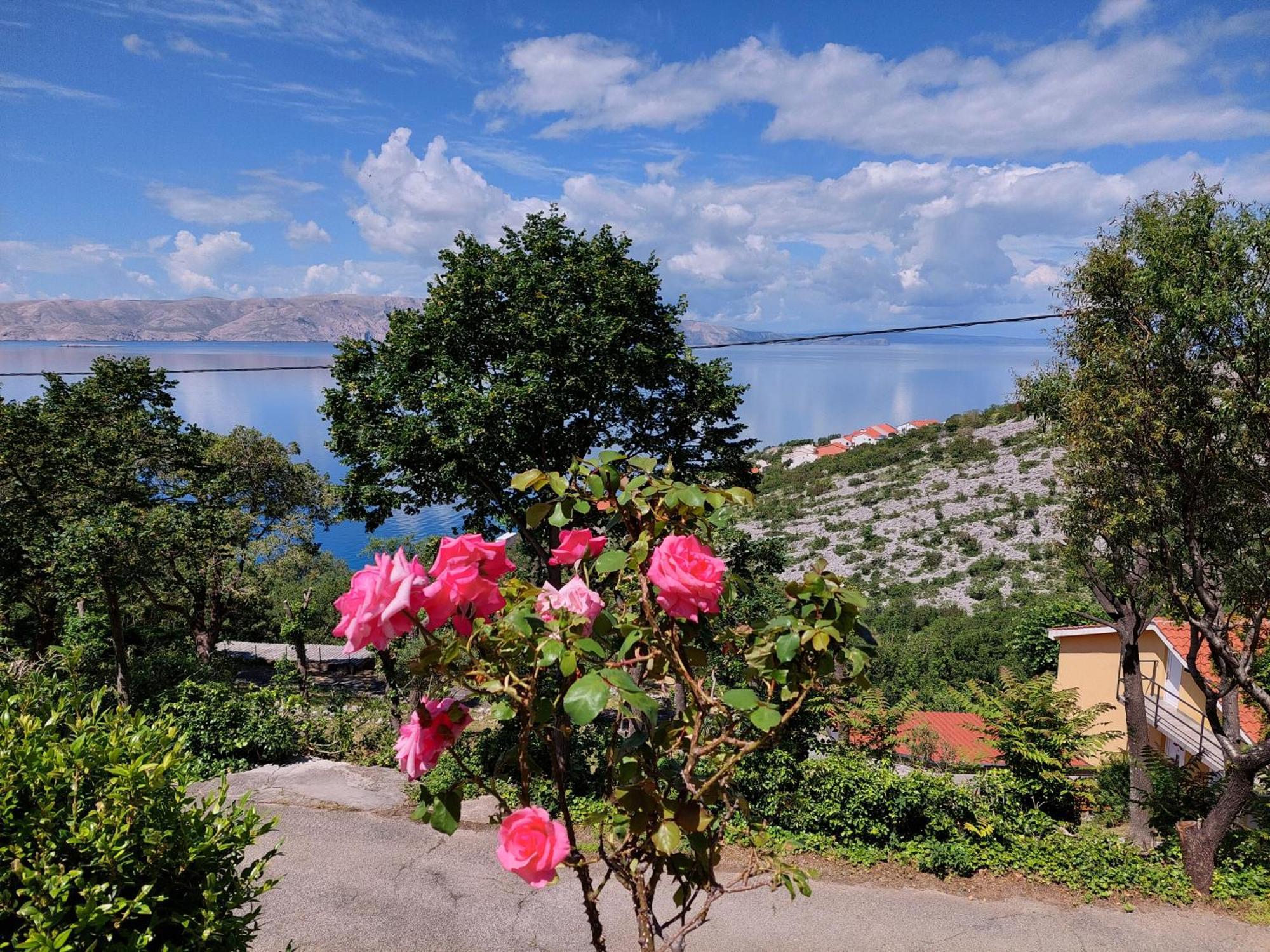 Apartmán Dalibor Senj  Exteriér fotografie